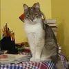 Отзыв от Валентина Пастухова